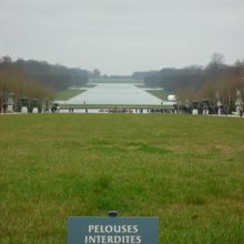 真ん中の池です