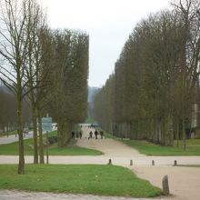 並木もきれいでした