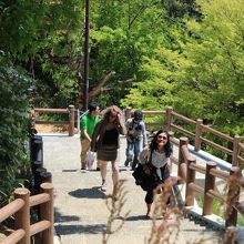 15分ほどかけて登山道を歩いて登ります