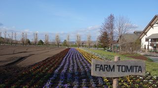 冬季でも開店しています。