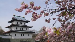 桜の時期に行きました