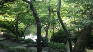 庭園がきれいです。