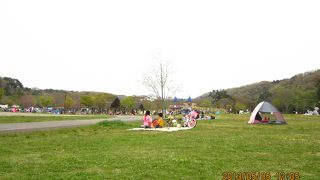 入場料も駐車場も無料 By Ayako 加瀬沼公園のクチコミ フォートラベル
