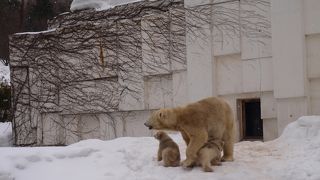 双子のあかちゃん☆