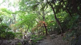 東京タワーからすぐ近くです