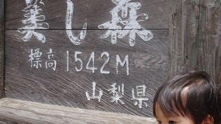 八ヶ岳の自然を満喫。最高の観光名所です。