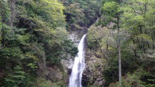 吊り橋からじっくりと眺められます