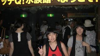 イッテq水族館は見る価値なし 今もあるのか知りませんが By Nao 横浜 八景島シーパラダイス アクアリゾーツのクチコミ フォートラベル