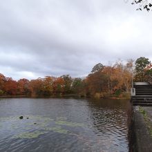 大沼湖　島巡りの路