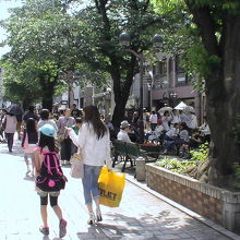 駅周辺は、こういう遊歩道が整備されている。