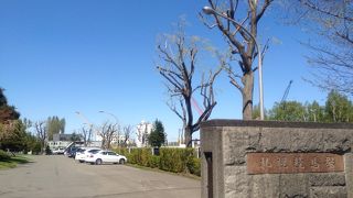 無料送迎バスがある