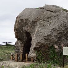 一見ただの大岩