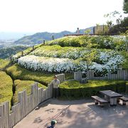 展望台からの眺めは流石です。