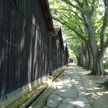 木漏れ日が気持ちいい！