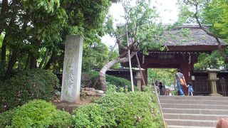 神代植物公園に隣接