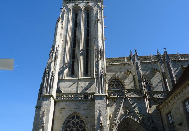 青空とのコントラストが素晴らしい
