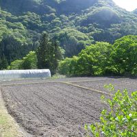 自然が魅力、客室からの眺め