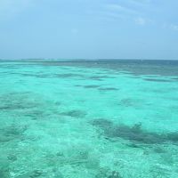 1列に並んでいる水上ヴィラからの眺め