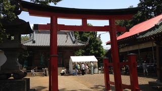 地域性なのかな？