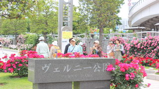 昔は普通の公園だったのに