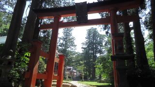 徒歩はきついので、バスで行きましょう