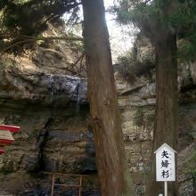 奥に微かに見えるのが「お滝」です。水が少なかったです。
