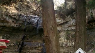 お滝の流れが涼しげです。