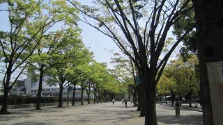 渋谷区にある都立公園