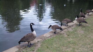 とても広い公園