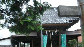 古の神社、御賽銭箱がない・・