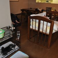 ペットゲージとベビーベッド