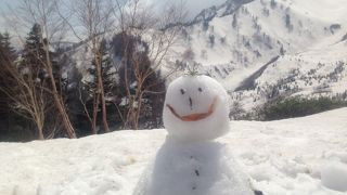 雪が溶けると花が一斉に