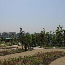 晴天・・・気持ちいいです