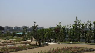 天空の癒し処！！