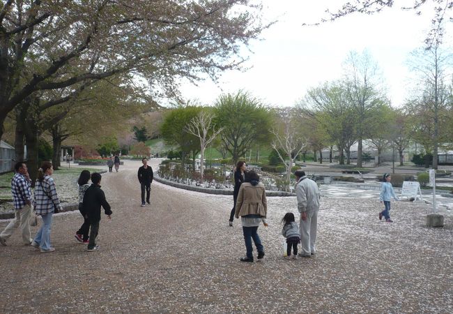 はちのへ公園春まつり