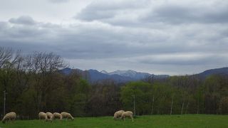 北海道を感じられる場所