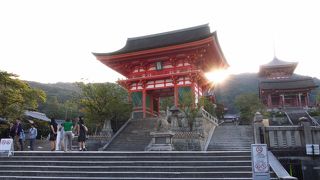 早朝がおすすめ