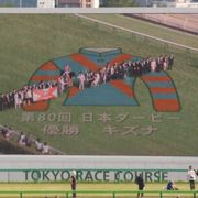 日本で最大の競馬場