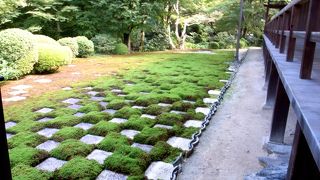 面白さはピカイチ