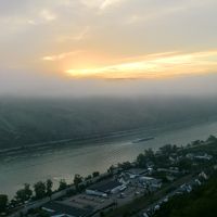 テラスから見える、朝靄のライン川