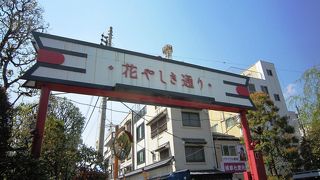 浅草寺と花やしきを結ぶ通り