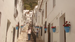 美しい通りです