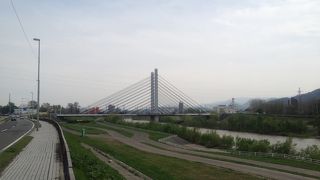 札幌で珍しい大きな斜張橋
