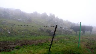 天候が良ければ