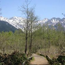 田代池に向かう道