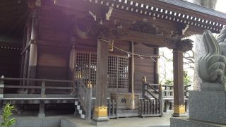 樹齢300年以上のケヤキ