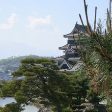 松本市立博物館から見た松本城