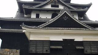 黒いお城　千鳥城