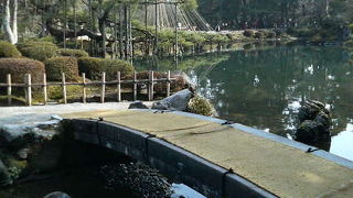 兼六園のおなじみの風景を形作る池