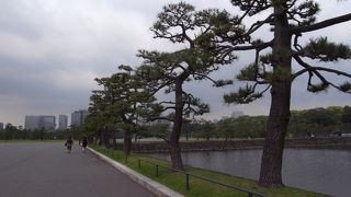 空が広かった！